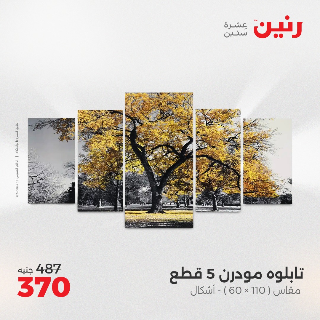 raneen offers from 6may to 7may 2025 عروض رنين من 6 مايو حتى 7 مايو 2025 صفحة رقم 132